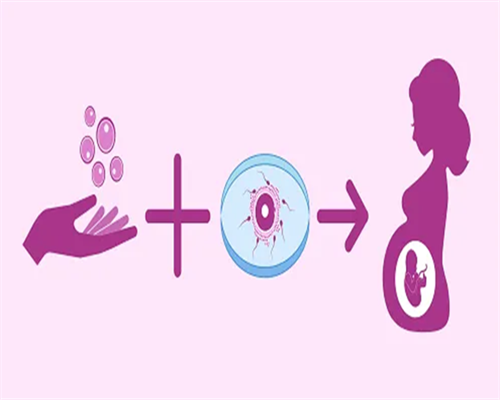 金贝供卵中心靠谱吗？2026年最新用户评价与实地考察