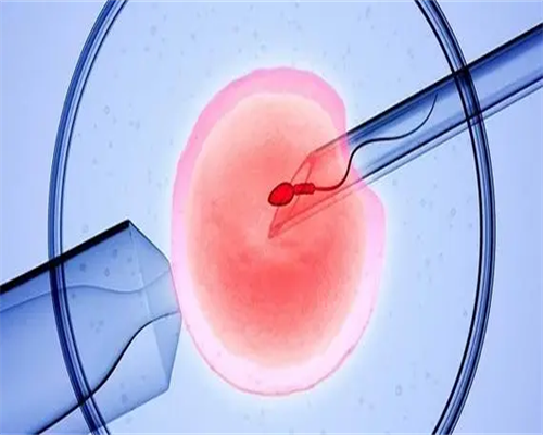 大龄绝经供卵试管费用：50岁以上家庭如何平衡生育风险与经济投入？