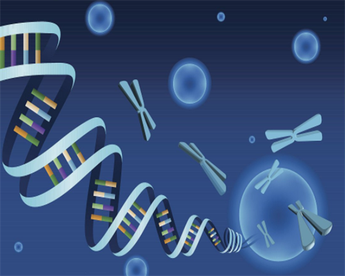 2026阳光助孕价格表最新公布：隐藏收费项目大排查