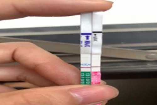 南京龙江地区供卵实验室探访：本地化攻略带你直达匹配点