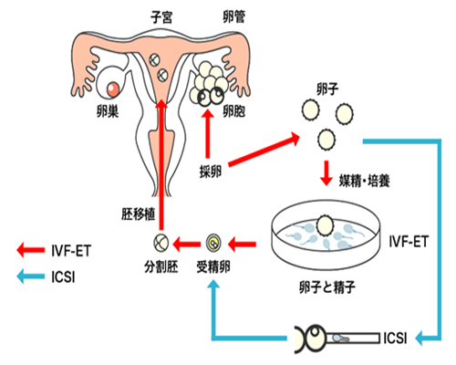 仪式感满满：接好孕迎新生祝词大全，给自己一份正向回馈