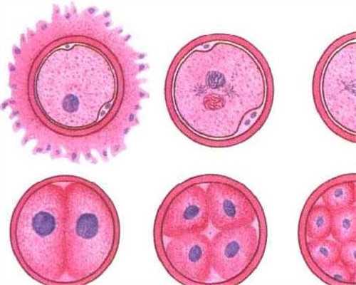 南京秦淮区供卵价格调研：新街口核心区的助孕成本是多少？