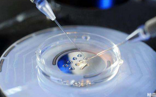 徐州供卵医院简介：除了妇保院，还有哪些渠道能快速匹配？