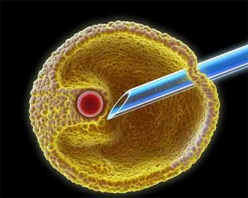 艾灸助孕的穴位图解：暖宫备孕，在家就能做的中医调理
