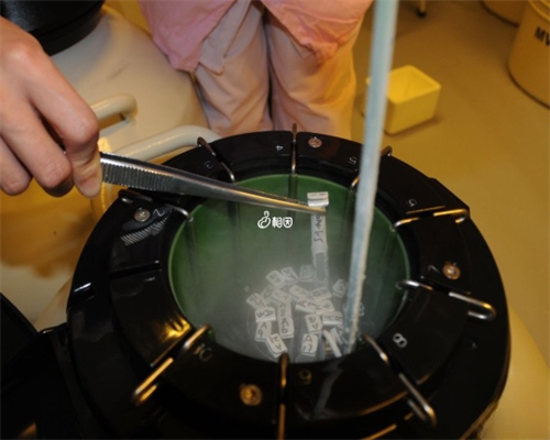 2026最新版清宫图来了！准妈妈们都在玩的生男育女预测表