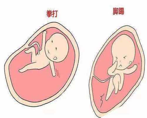 供卵试管妈妈怎么找-供卵试管代孕机构_借卵生孩子家庭和谐吗-可以供卵试管么